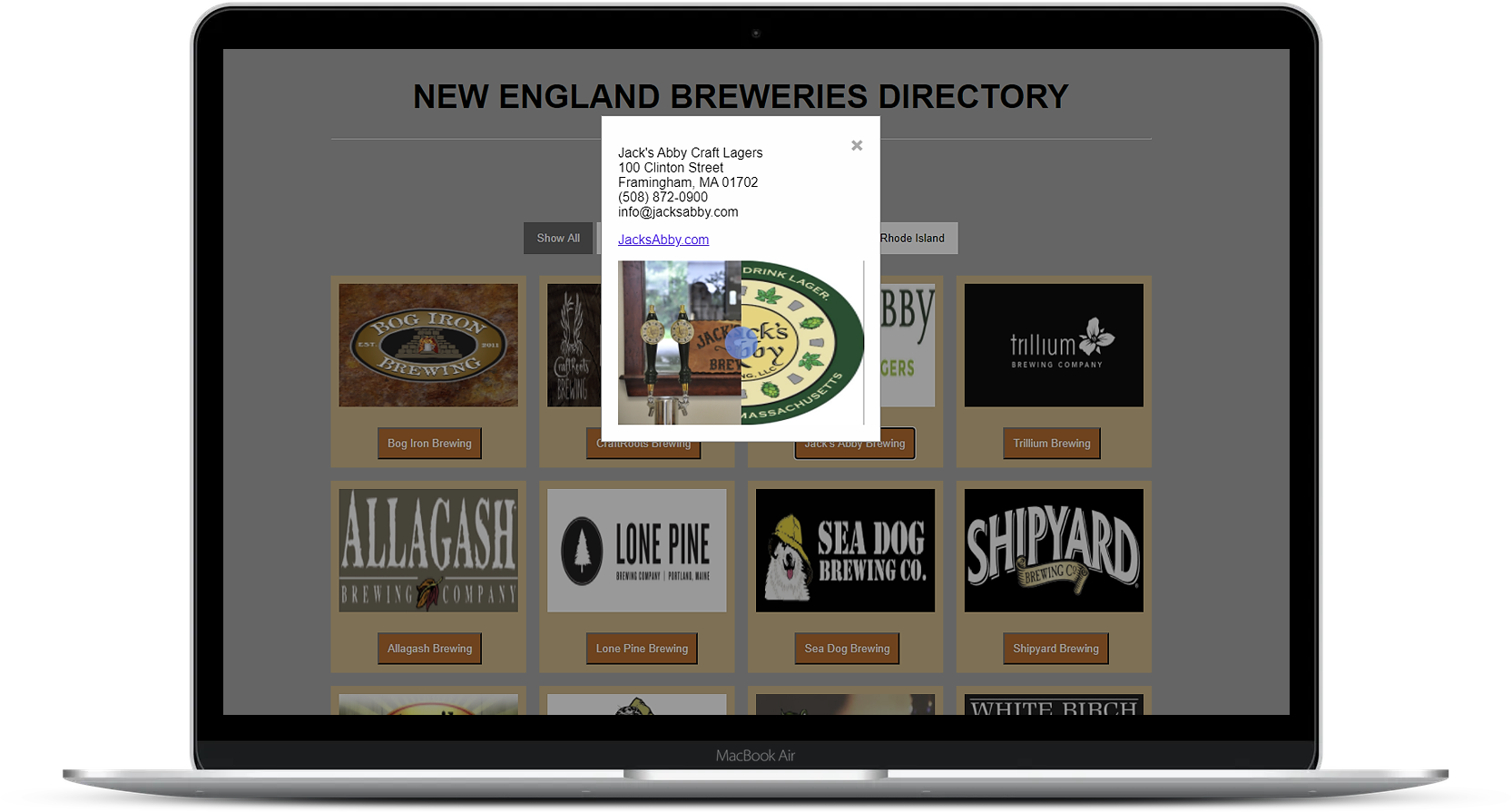 javascript project showing modal